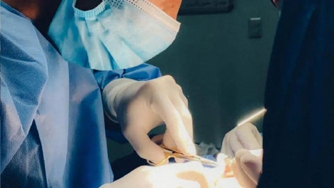 Las autoridades indicaron que prestarán atención a las medidas de los centros estéticos.