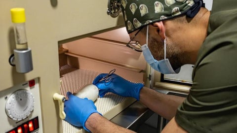 Nace Ámbar, una nueva cóndor hembra que representa la esperanza para la conservación de la especie en Colombia