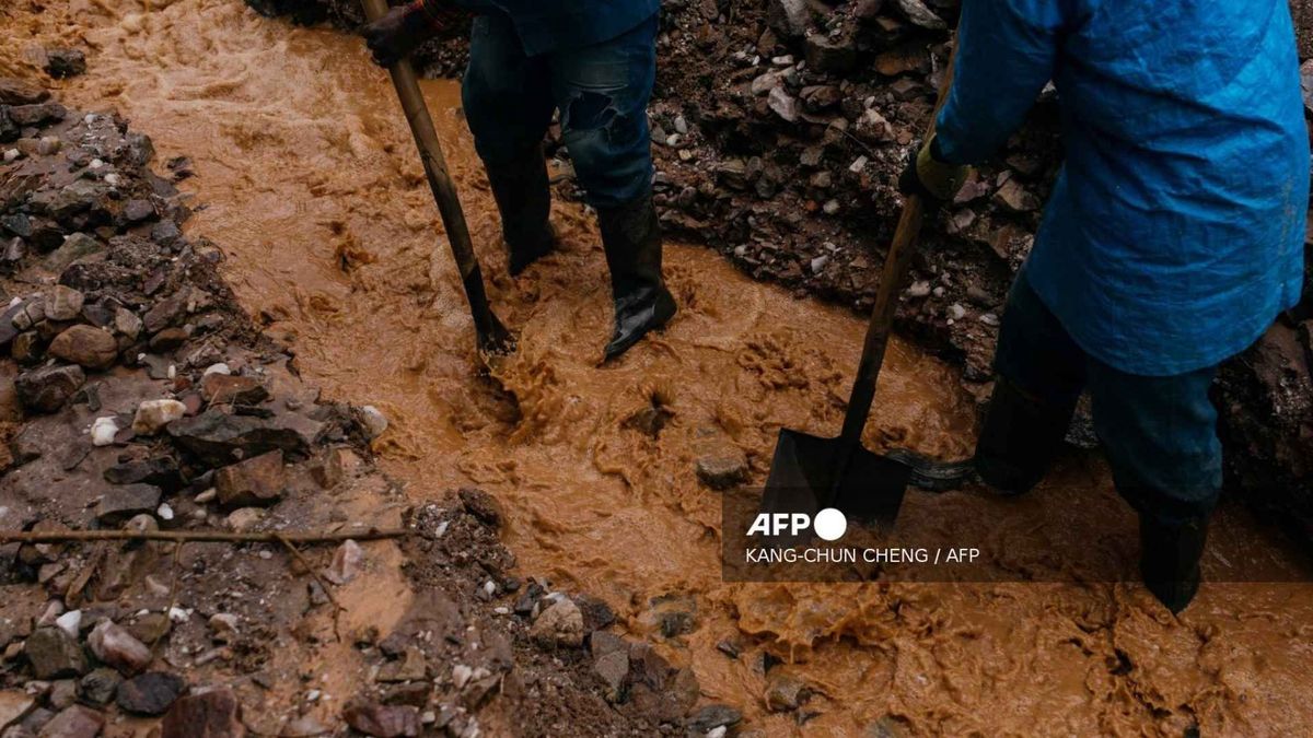 Minería ilegal en el Amazonas Interpol da duro golpe a redes criminales