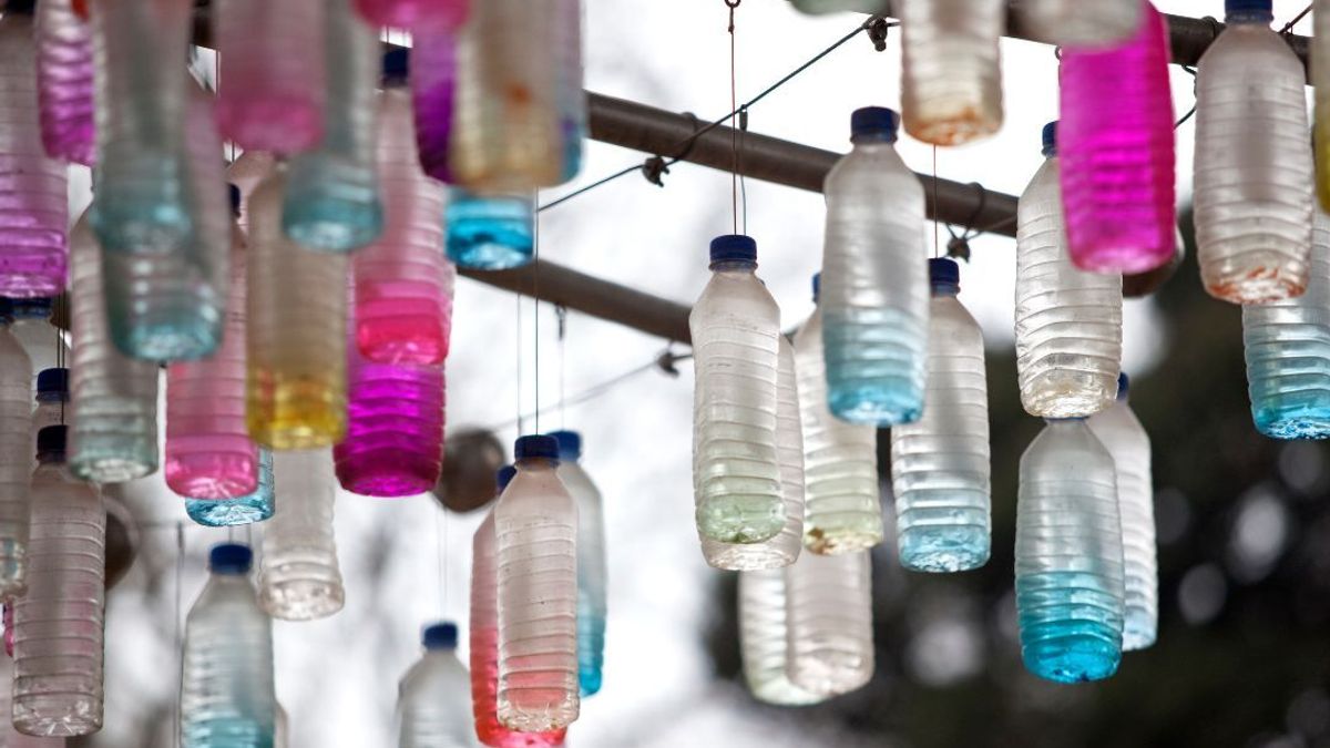 Las botellas son usadas para ahuyentar aves.