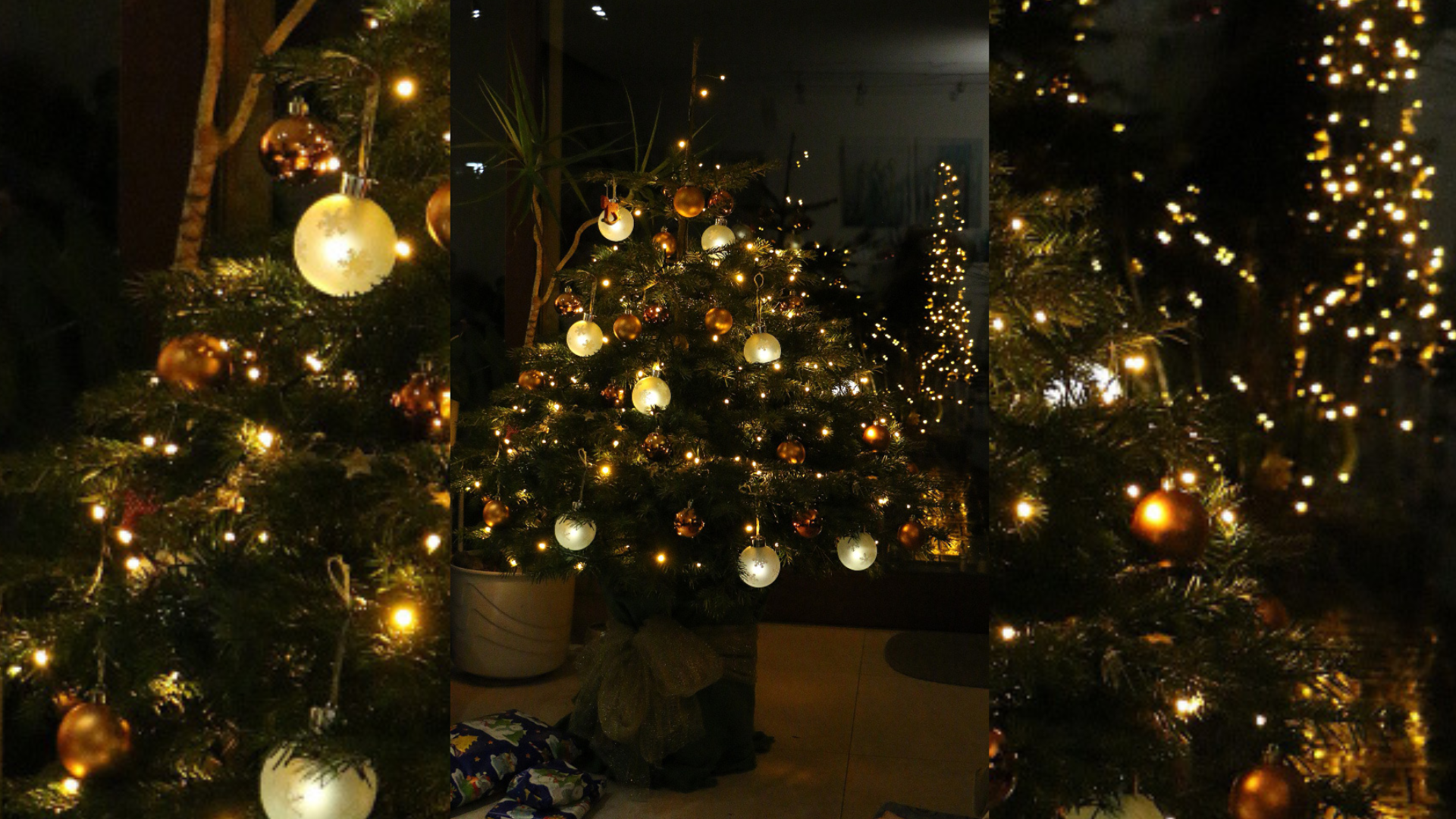 Uso adecuado de extensiones para conectar luces del árbol de Navidad sin sobrecargar tomas.