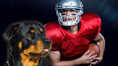 El jugador utilizó su riqueza para realizar el proceso.