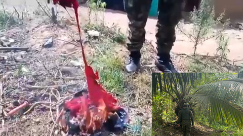 El Gobierno anunció el envío de tropas y controles fluviales y viales en el Chocó, donde operan al menos cinco grupos armados ilegales.