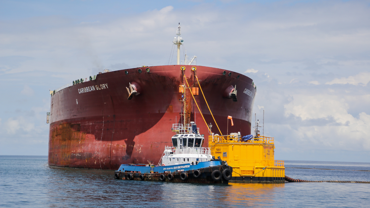 China mostró interés en importar desde 2026 hasta 80.000 toneladas de café colombiano, además de cacao y banano, tras acuerdos comerciales en Shanghái.