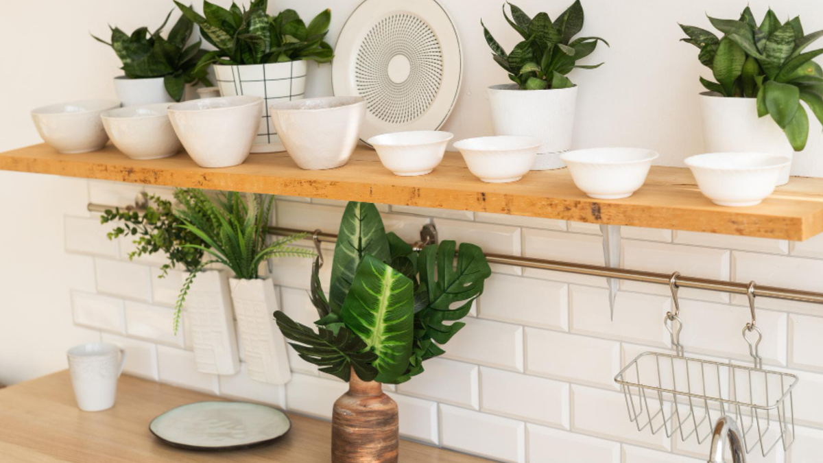 Plantas en la sala: Una palma areca aporta frescura y volumen en la decoración del hogar.