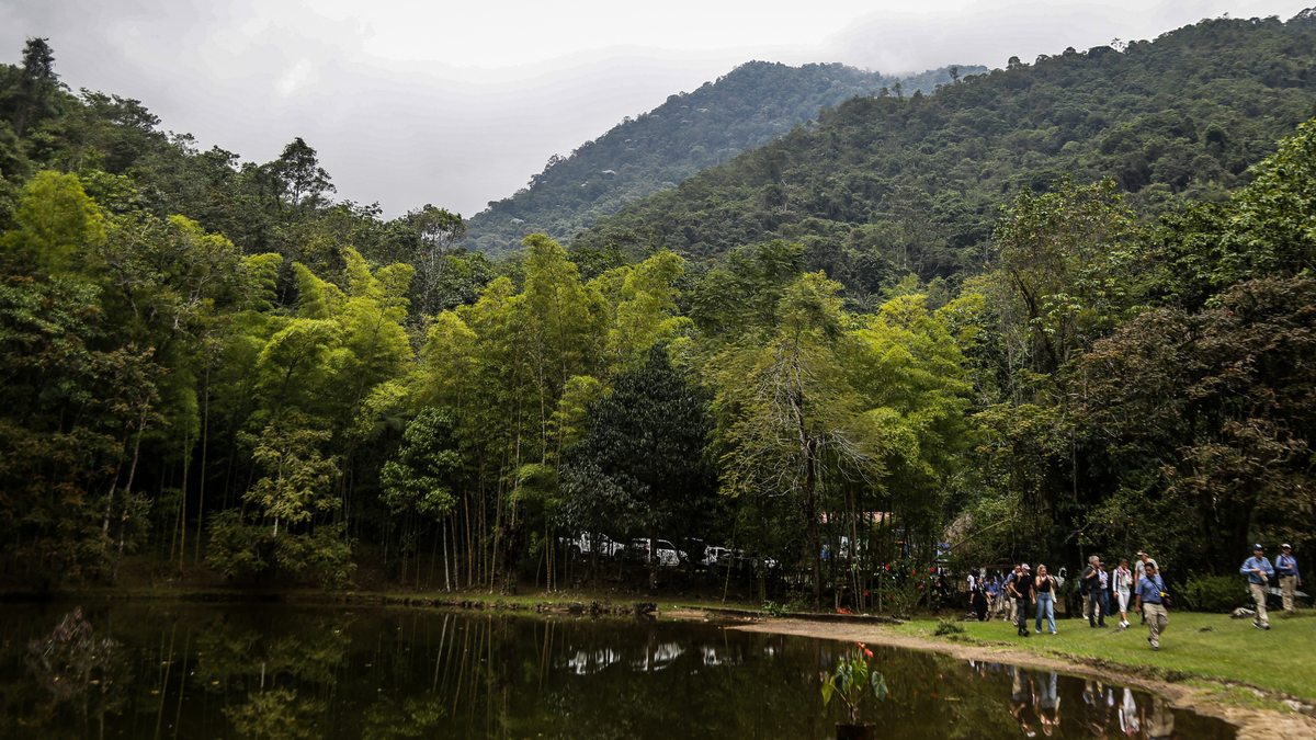 Los Parques Nacionales protegen 322 ecosistemas estratégicos que regulan el agua y el clima del país.
