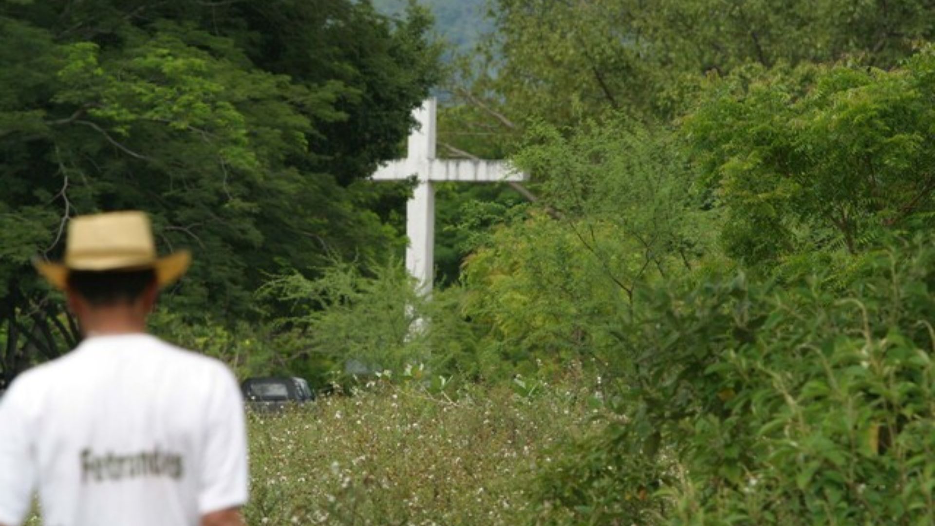 Según la página oficial de la Gobernación del Tolima, se anunció una inversión de 600 millones de pesos para la primera fase del Parque Jardín de la Vida