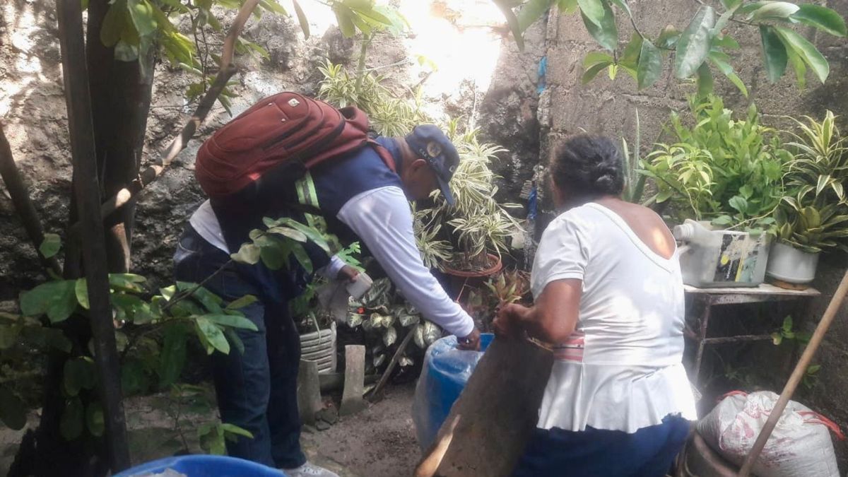 El reporte señala que el 36,7% de los casos a nivel nacional presentan signos de alarma, y el 1% corresponde a dengue grave.