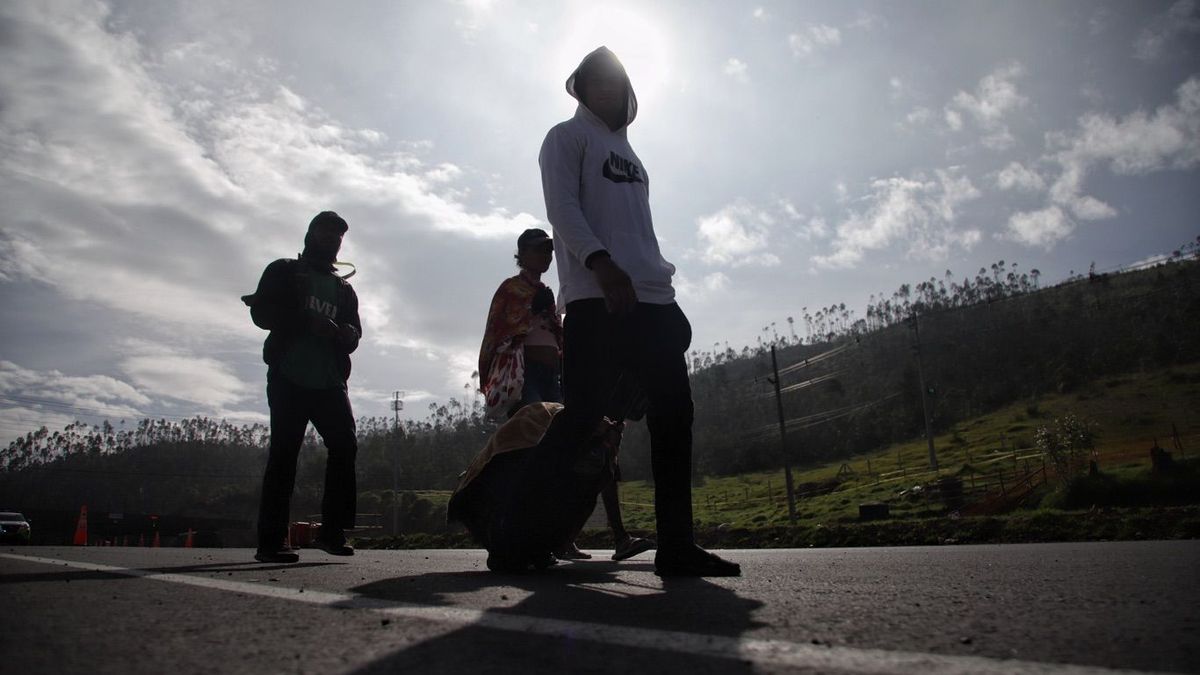 Colombia registra más de 245 millones de movimientos migratorios en dos décadas, según nuevo informe de Migración Colombia