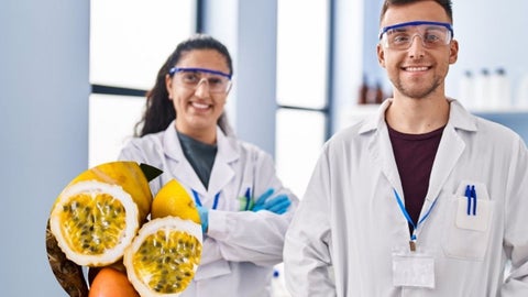 La fruta tiene otros usos que están siendo investigados.