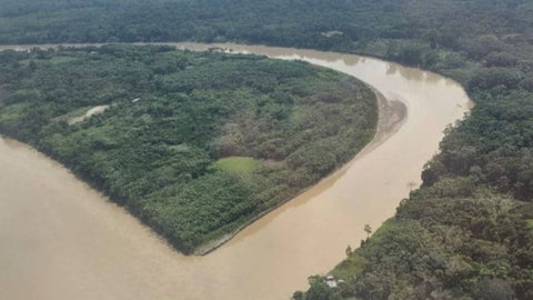 Selvas del departamento del Guaviare