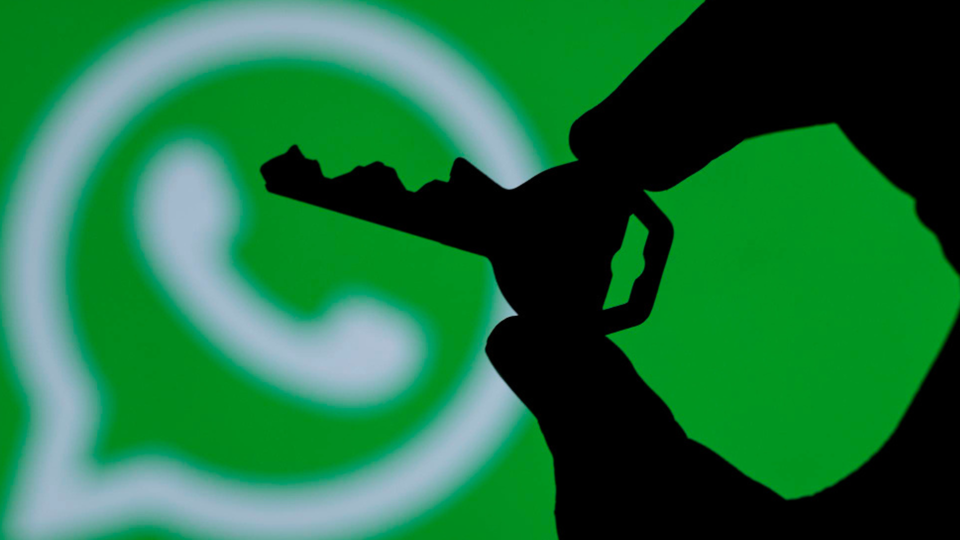 Configurar la privacidad en WhatsApp ayuda a controlar quién puede ver la conexión o la foto de perfil.