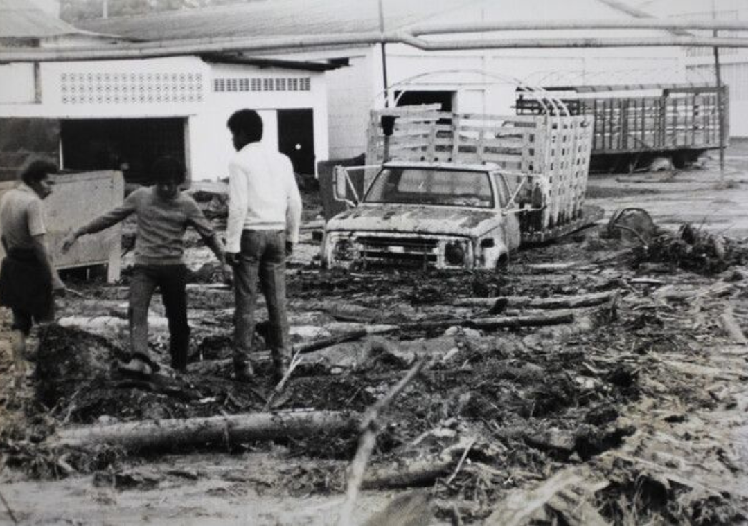Las ayudas fueron insuficientes para los supervivientes.