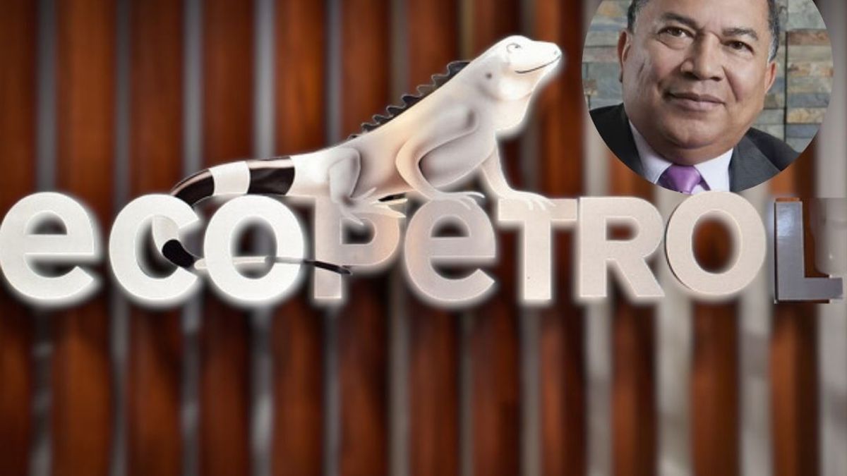 El exministro se refirió a las consecuencias de la crisis de le empresa.