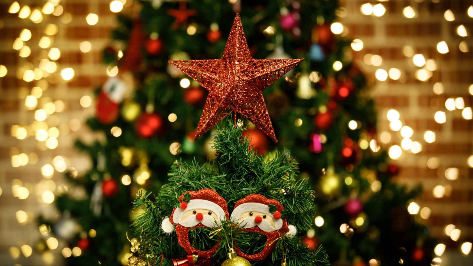 La ubicación del árbol influye en la circulación de la energía dentro del hogar.