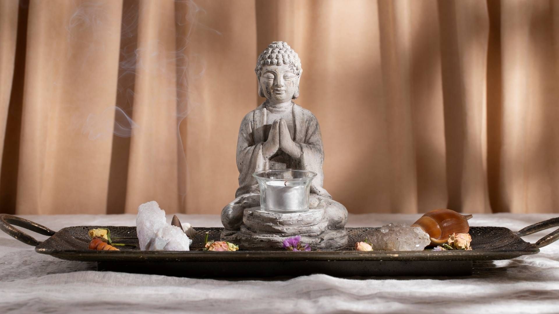 El sector sureste es uno de los puntos sugeridos por el Feng Shui para ubicar el árbol.