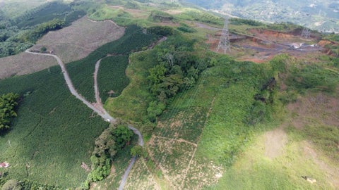 Terreno Aerocafé. Palestina, Caldas. Julio 2025