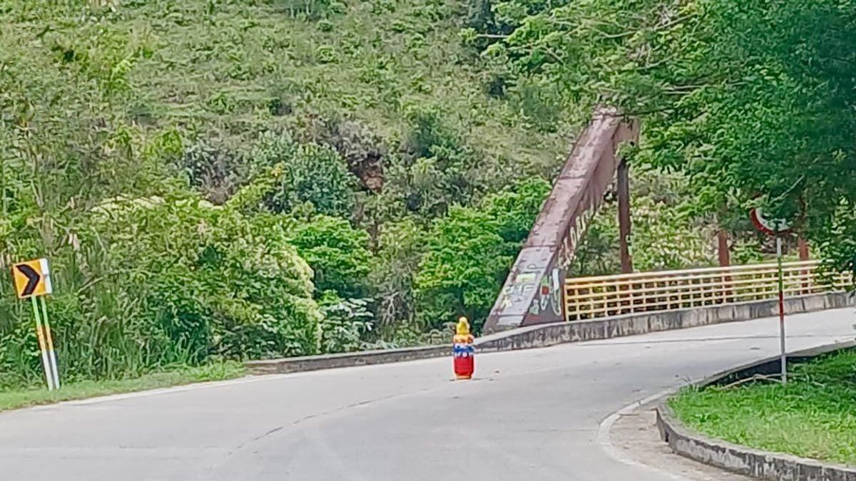 Ejercito activo protocolo para cilindro que quería servir de señuelo en límites entre Huila y Cauca