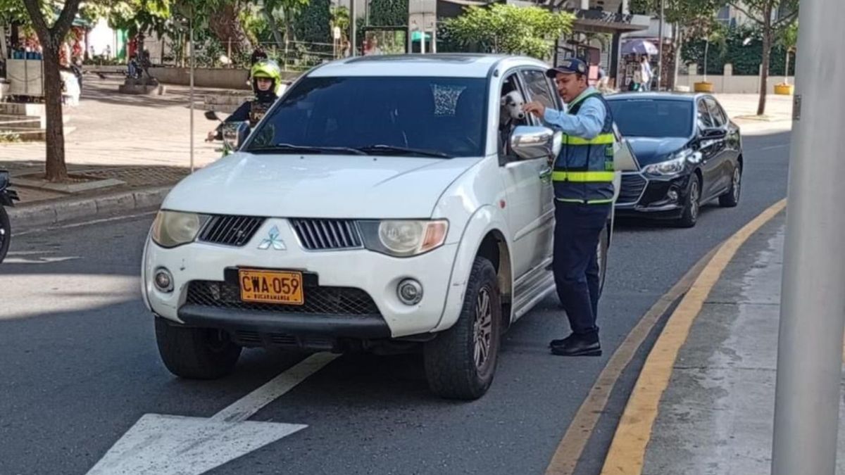 Tránsito Bucaramanga