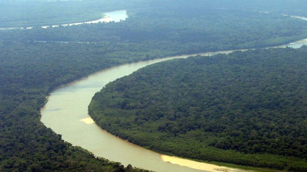 El jefe de Estado ha autorizado doce bombardeos durante su administración. Uno de ellos, el primero de octubre en Amazonas.