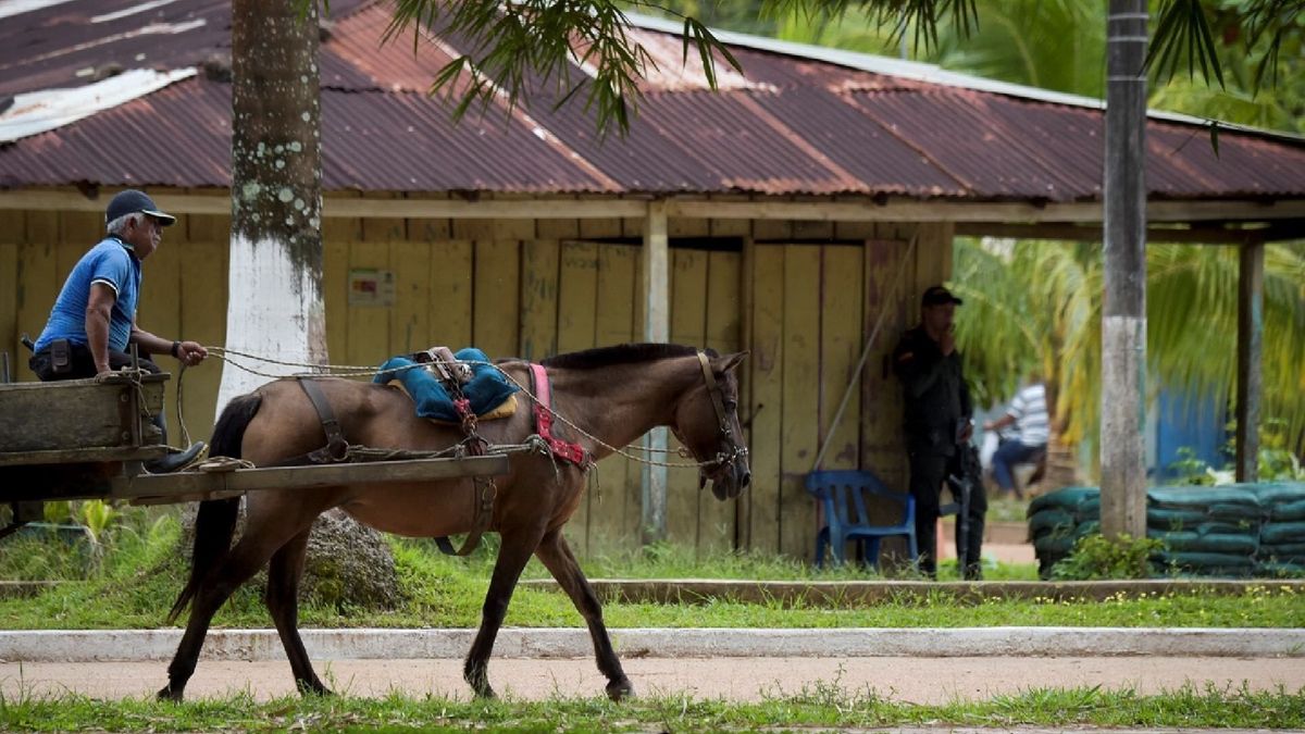 Municipio de Calamar | Guaviare | Octubre 2018