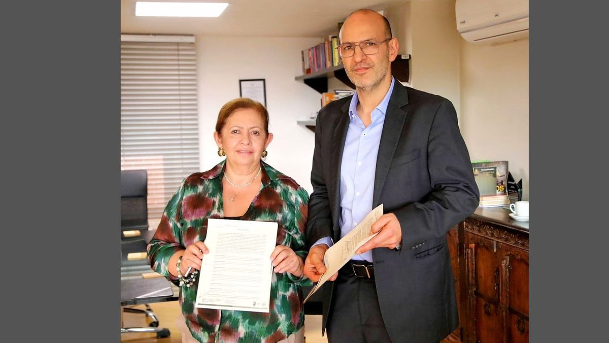 Herman Bayona- Fomag