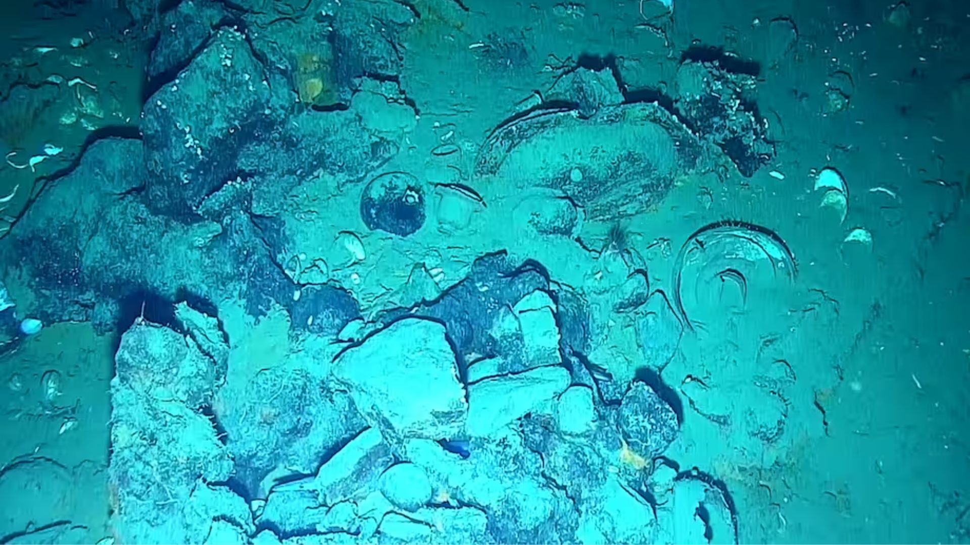 Para poder decidir qué elementos podían recuperarse, se tuvieron que seguir protocolos científicos y técnicos, como evaluar cada objeto con la pertinencia arqueológica requerida. 