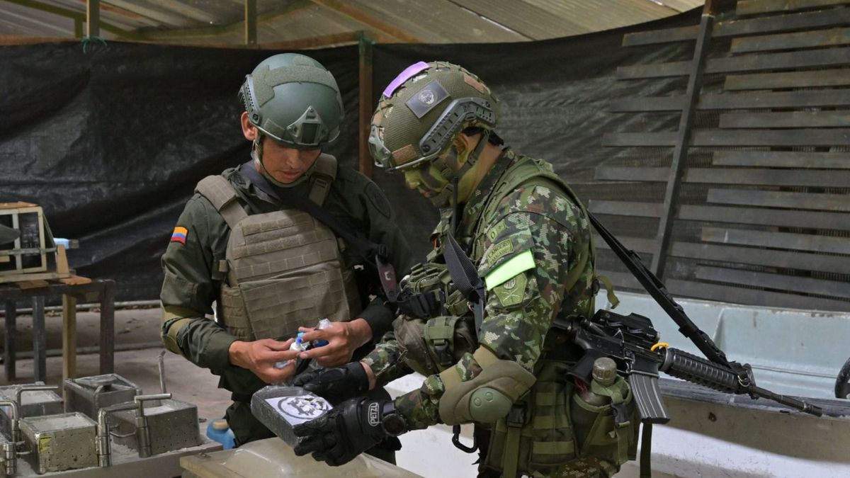 Ejército incauta droga