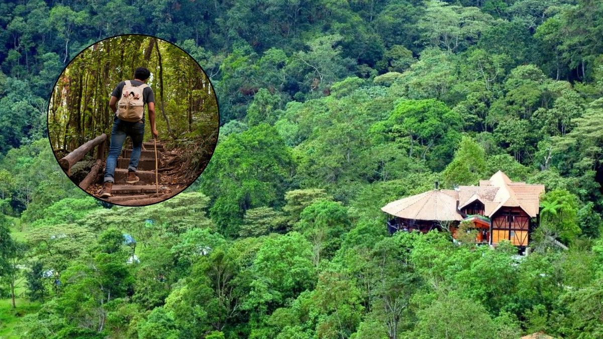 Llegar a Chicaque es sencillo. Quienes van en vehículo particular pueden tomar la autopista Sur, pasar por Soacha y después llegar al desvío para la Vereda Cascajal.