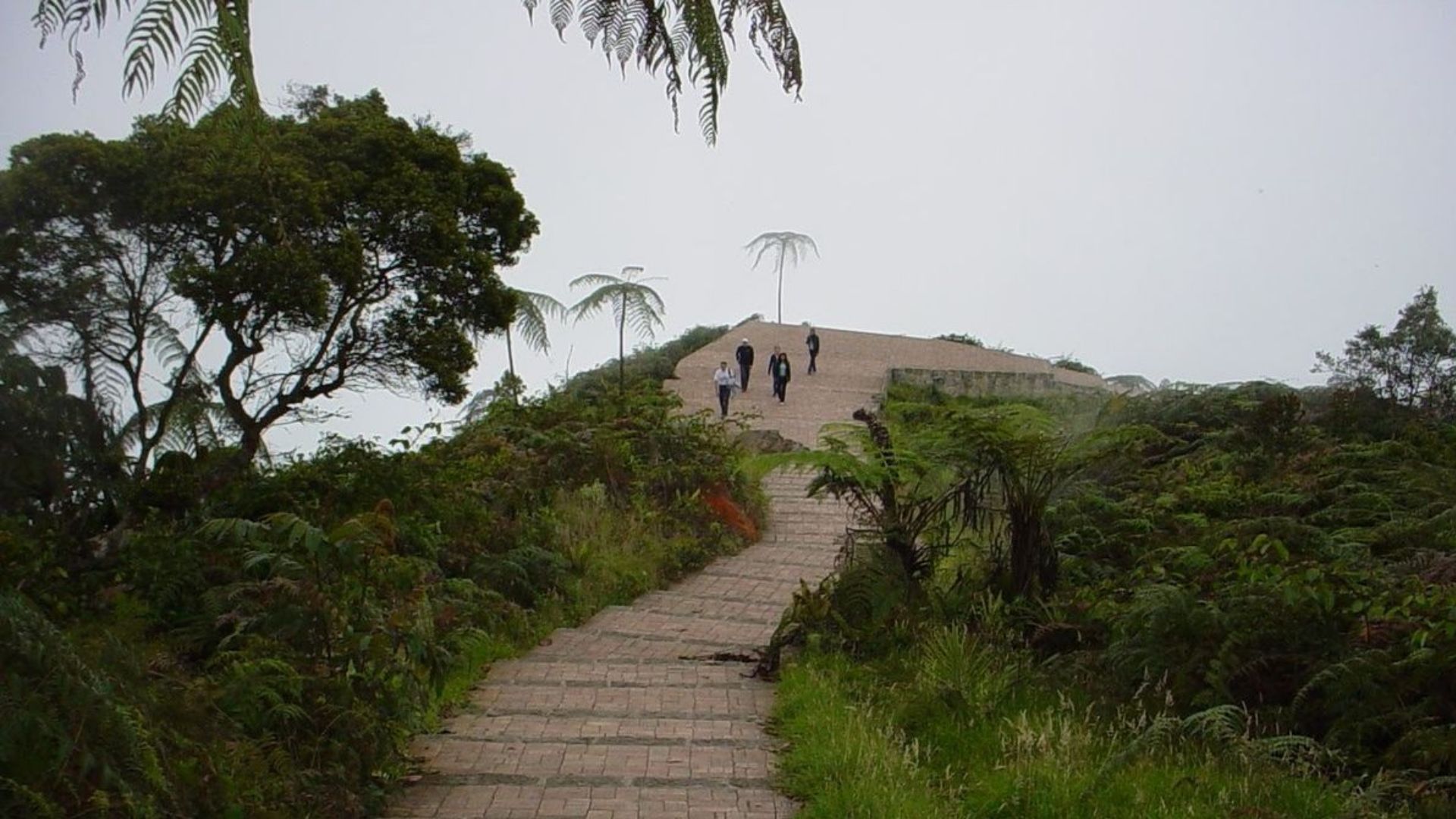 Chicaque tiene varias alternativas de alojamiento. El Hostal Refugio de Montaña cuenta con habitaciones familiares y áreas comunes para descansar. 