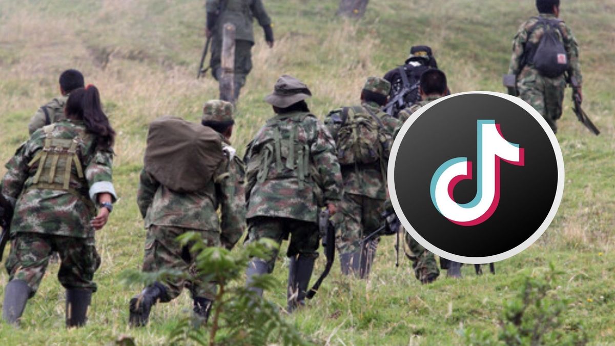 Reclutamiento de menores desde TikTok