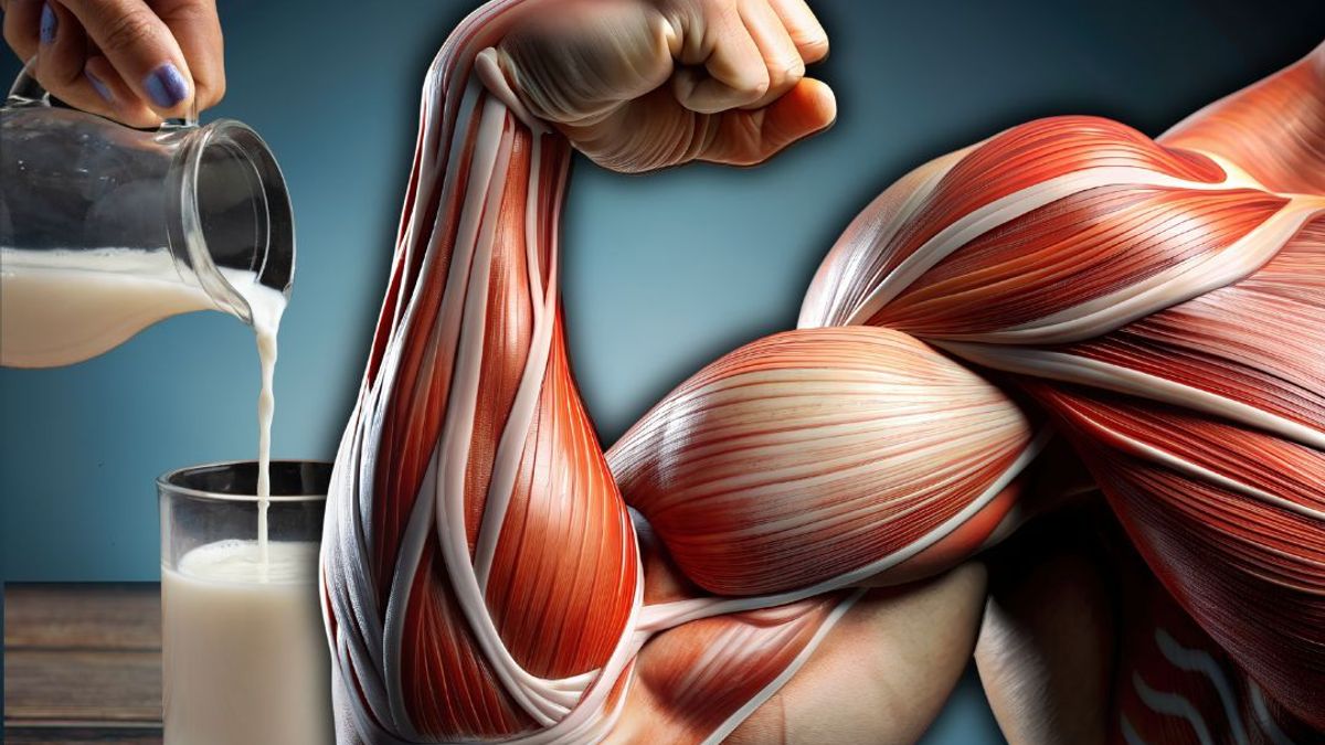 El consumo de lácteos ayuda a combatir la diabetes y favorece a los músculos.