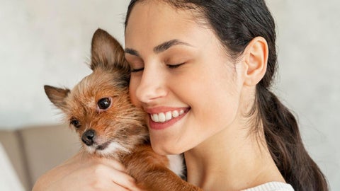 Animales de compañía