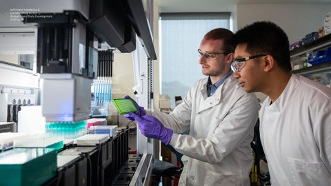 Contenido comercial - Foto suministrada por Novo Nordisk Colombia