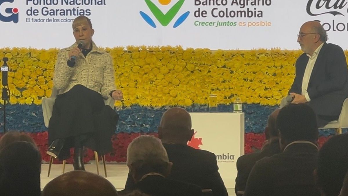 Gobernadora del Valle, Dilian Francisca Toro