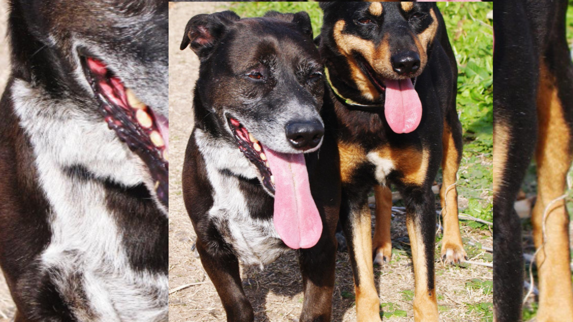 Las caminatas cada seis horas son obligatorias para garantizar salud física y mental.