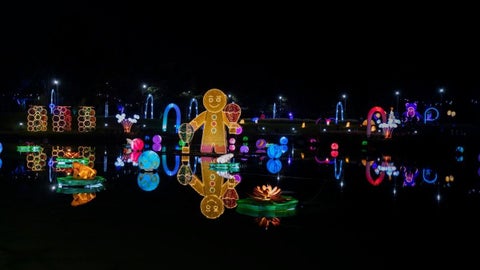 “Navidad es Cultura 2025”: inicia la programación navideña en Bogotá