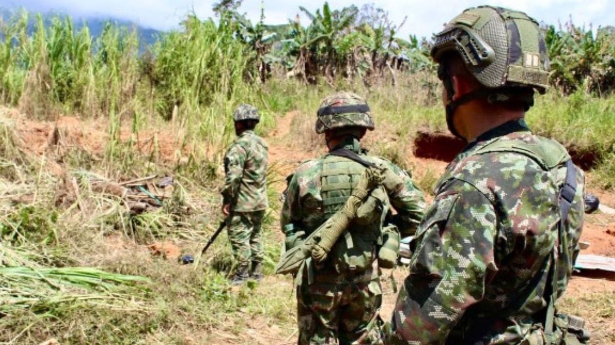 Profesionales del Ejército Nacional de Colombia