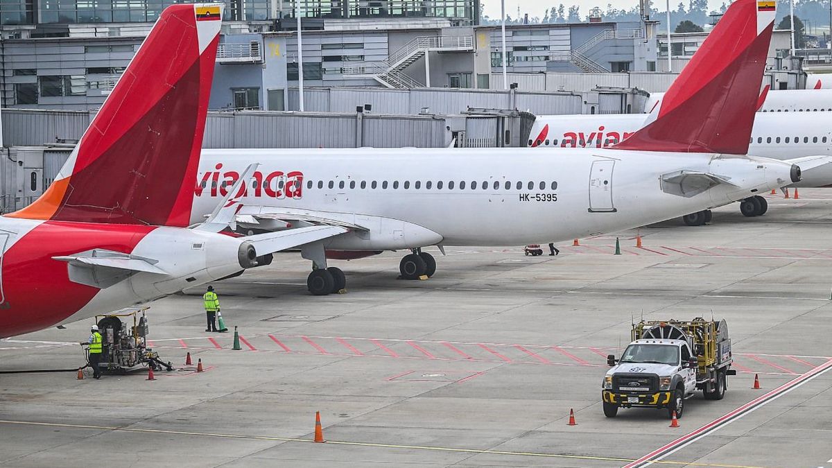 Avianca confirmó que podrá presentar afectaciones en su servicio en los próximos 10 días por cuenta de la falla de los aviones de Airbus.