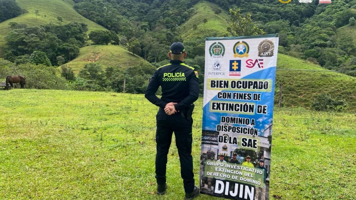 Bienes de extinción de dominio