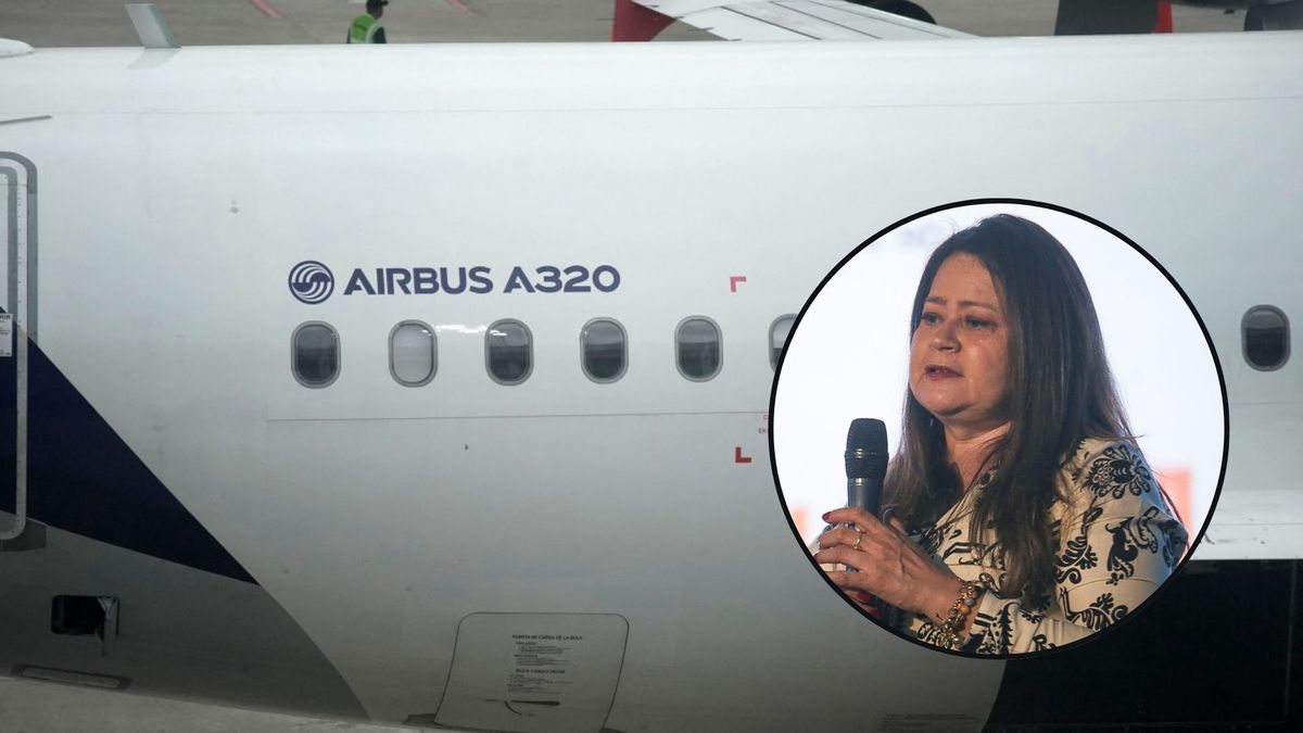 Actualización de la flota Airbus A320 avanza con rapidez, según Ministra de Transporte