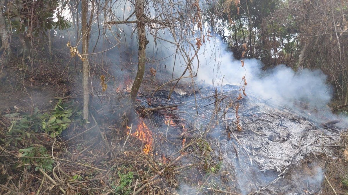 Antioquia refuerza campañas de prevención tras registrar 15 incendios el año anterior