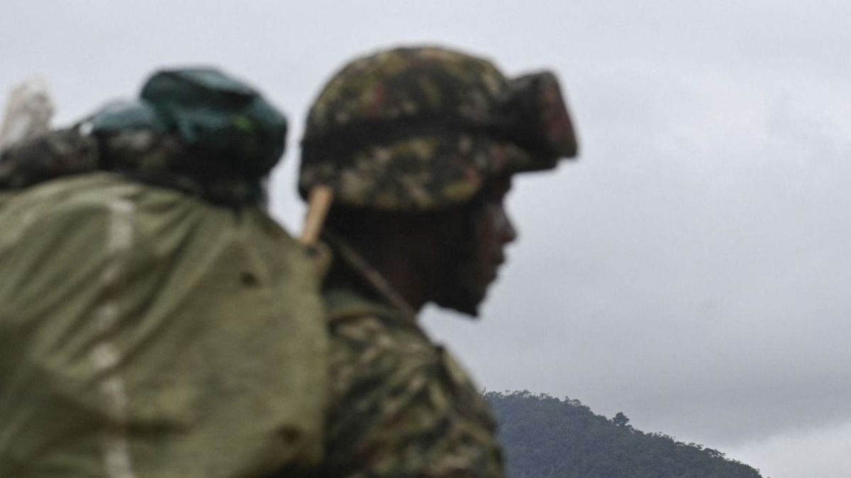 Si bien sospechaban que alguna carga iba oculta en el carro, jamás imaginaron lo que encontrarían.