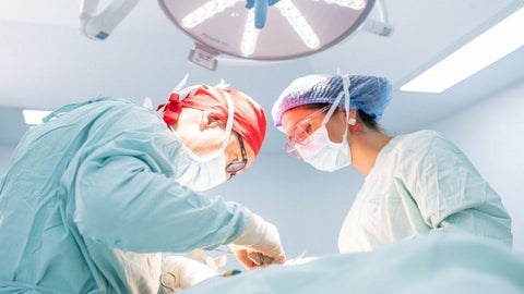 Trasplantes de hígado y riñón en niños.