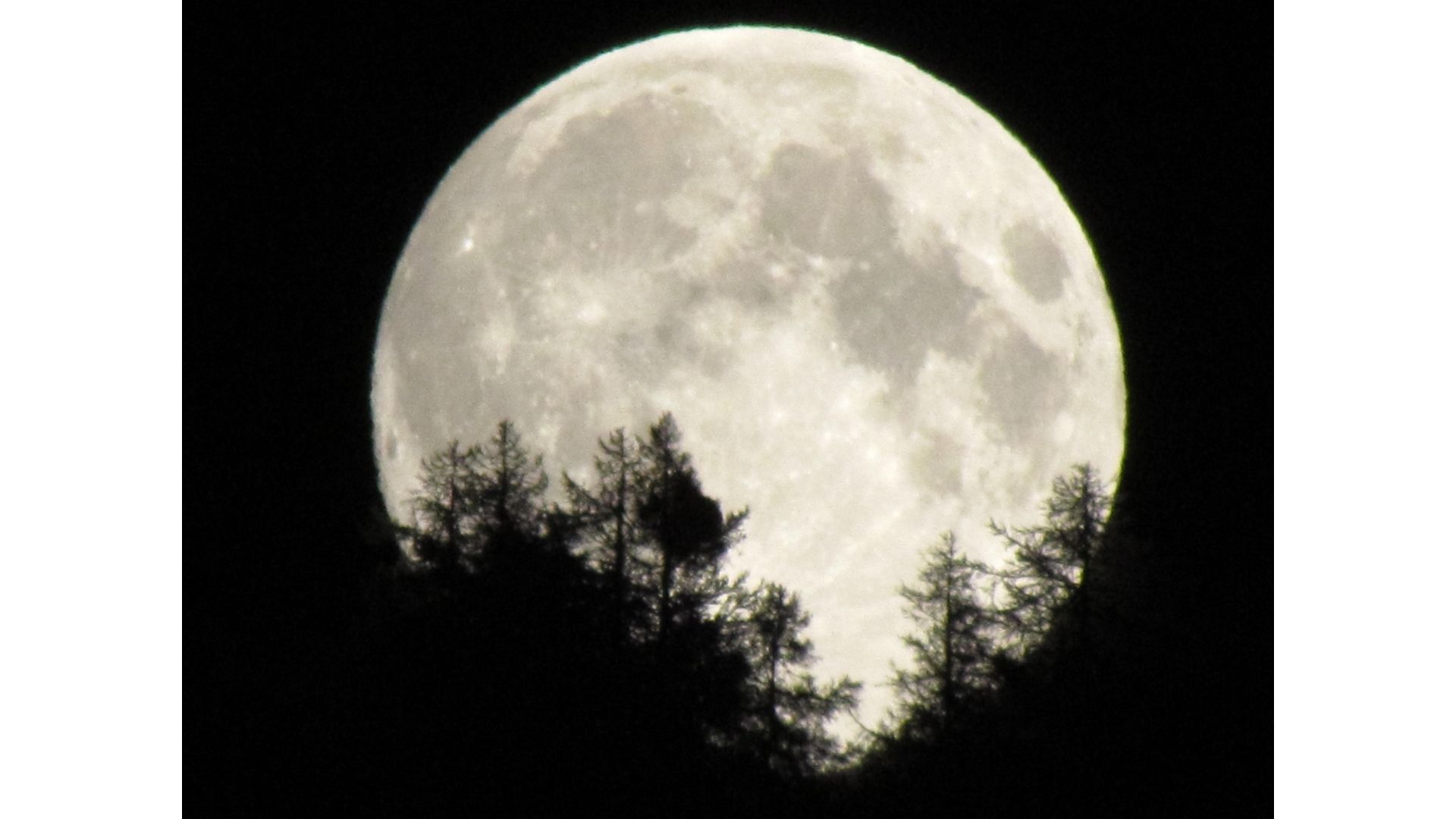 Hoy se podrá observar la superluna de diciembre, un evento lunar que coincide con la fase final del ciclo anual.