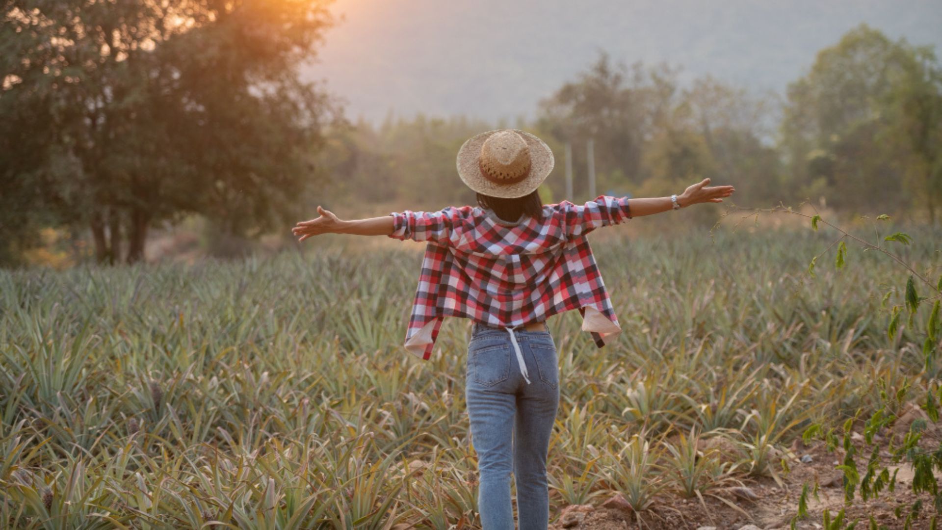 La propuesta es tentadora para quienes prefieren un estilo de vida más tranquilo, rodeado de mar, naturaleza y comunidades pequeñas.