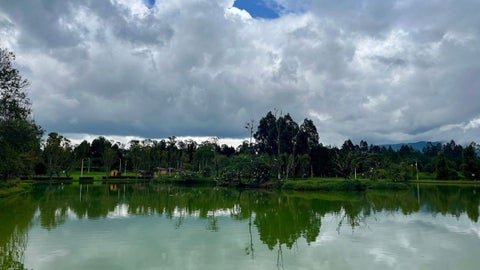 Los fines de semana, lo más recomendable es llegar temprano, entre 8:00 a. m. y 10:00 a. m.