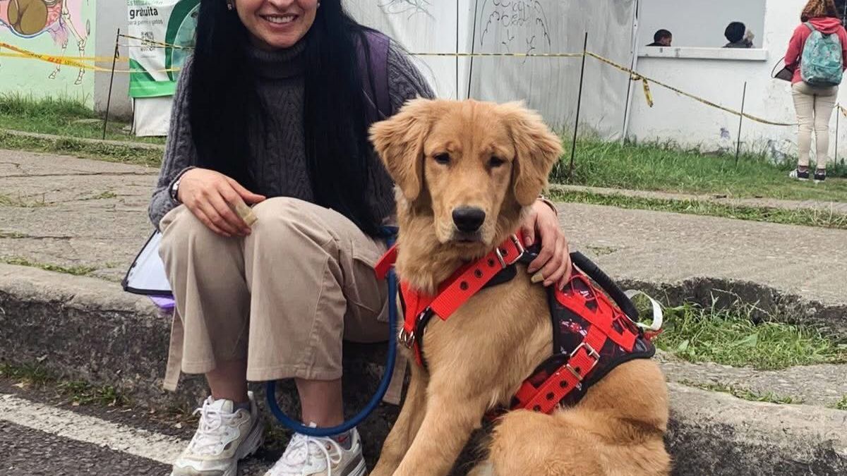 bogota-habilita-7000-cupos-gratuitos-de-esterilizacion-para-perros-y-gatos-en-diciembre