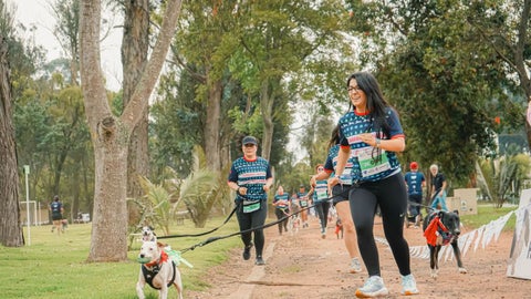 Carrera navideña para mascotas en Bogotá.