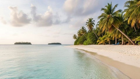 Quienes visitan esta playa suelen caminar por allí para observar el color más de cerca.